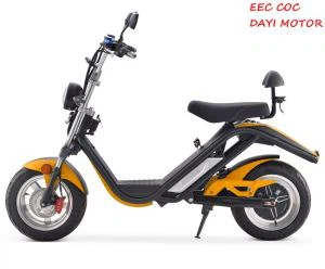 2000W Dobule Seater Citycoco