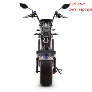 큰 바퀴 전기 스쿠터