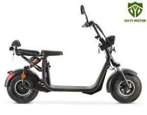 뚱뚱한 자전거 구조 60v EEC / COC 기동성 스쿠터
