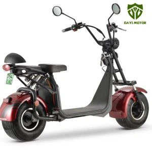 두 뚱뚱한 타이어 스쿠터